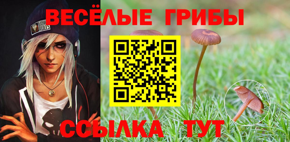 Галлюциногенные грибы Psilocybine cubensis  Вход с VPN  что такое наркотик  Коркино 